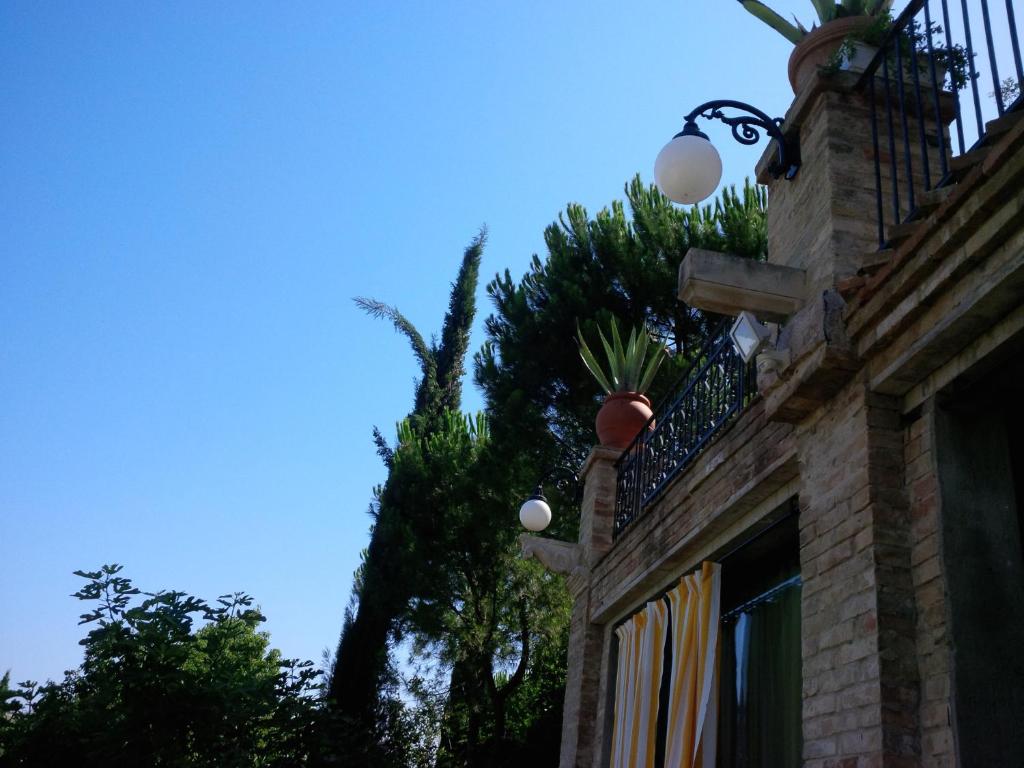 La Limonaia photo 3