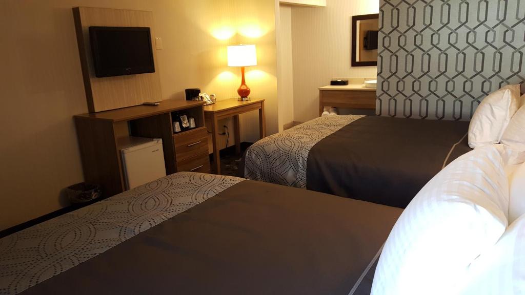 Aartpark Hotel Inn At Lewiston image