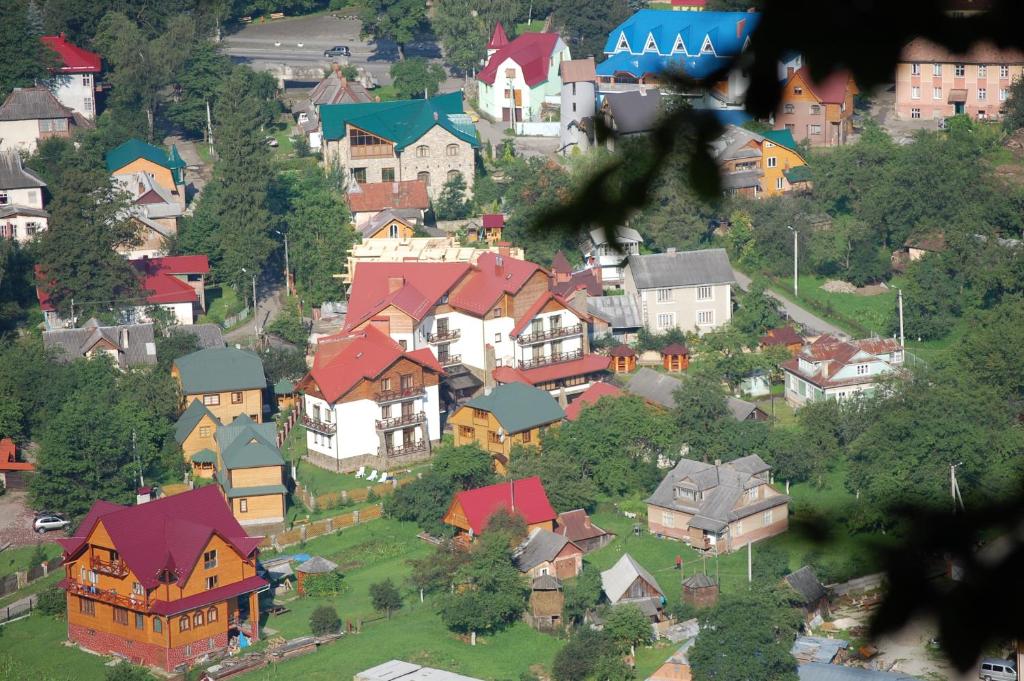 Tsvit Paporoti photo 2