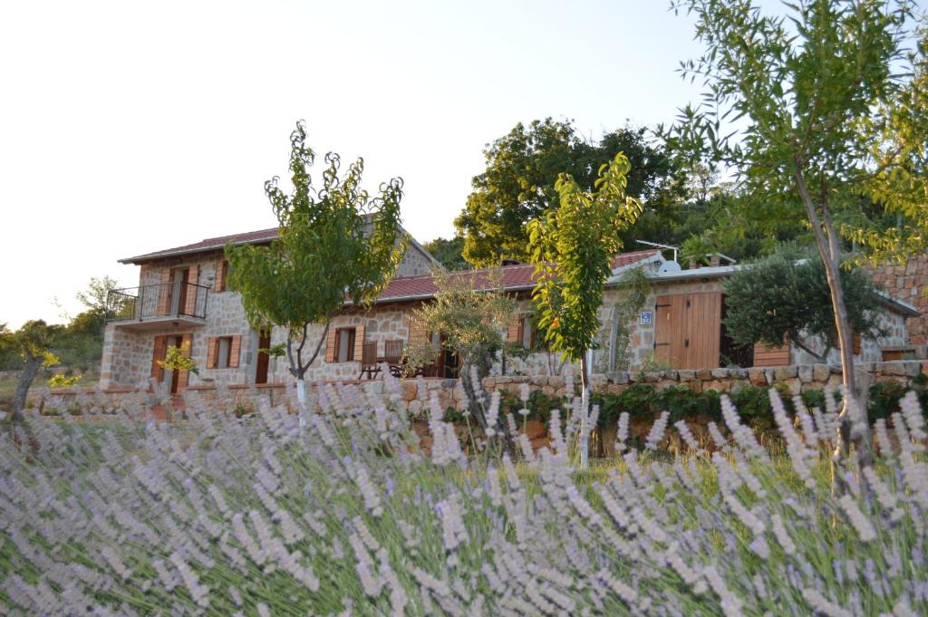 Villa Mara - secluded house with breathtaking view- Seline, Starigrad Paklenica photo 1
