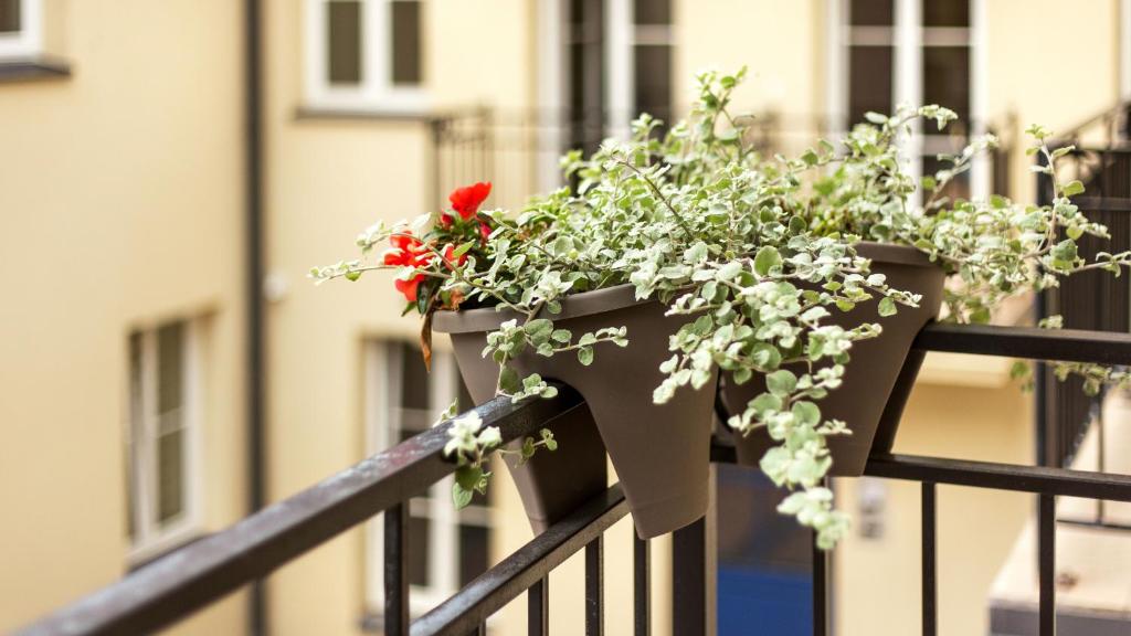 Апартаменты (Апартаменты с балконом), Vilnius Private Stay