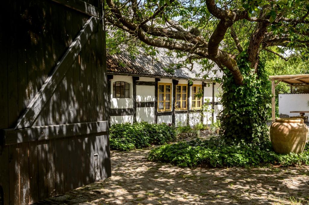 Rubensholm Bed & Breakfast photo 2