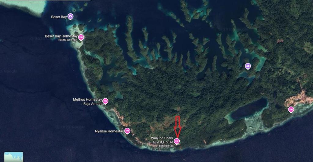 Walking Shark Guest House photo 1