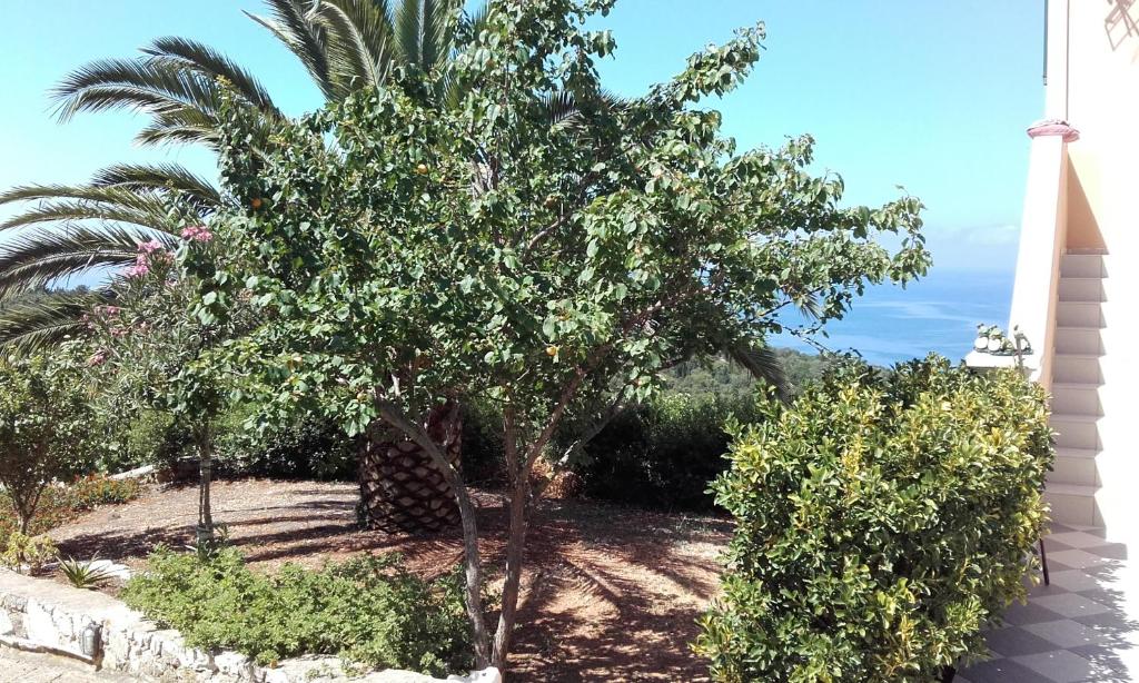 Heliovasilema (Sunset) Apartments and Studios photo 4