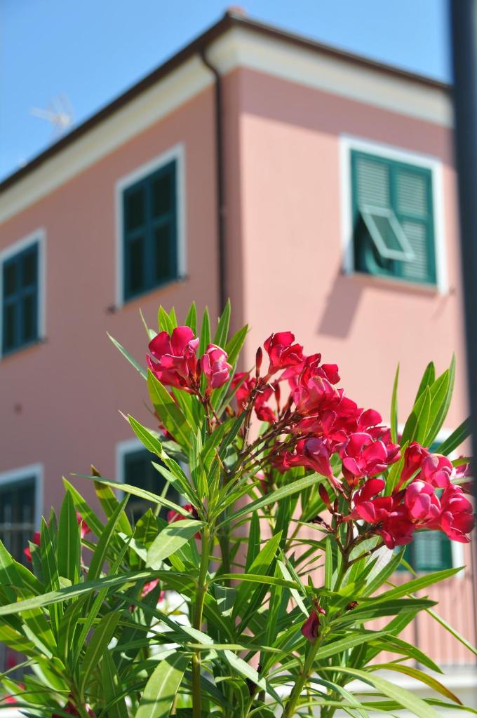 Villaggio La Piana photo 1