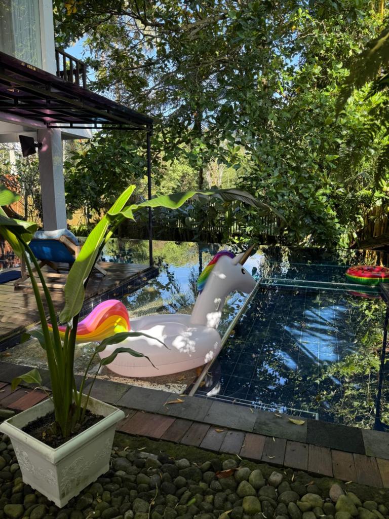 Griya Oma Nining-Large House with Swimming Pool photo 3