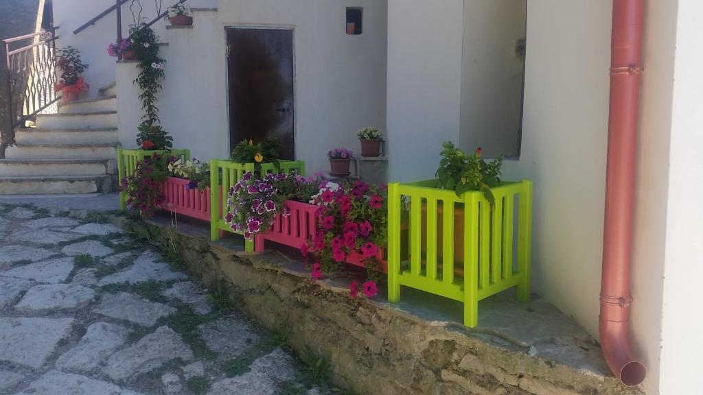Fattoria la Cona photo 4