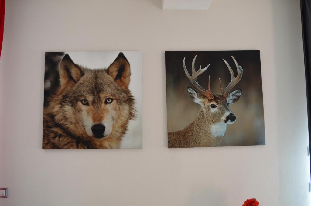 Casa Morena photo 2