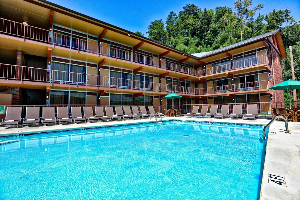 Wild Bear Inn image