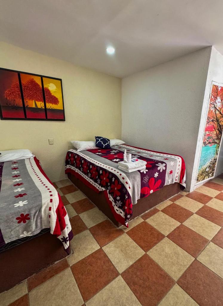 Vicalis Hotel, Villas y Glamping Room Type - Economy Quadruple Room