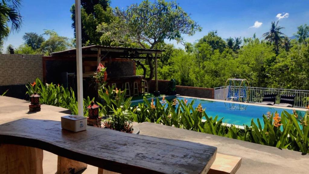 Eco Moringa Garden