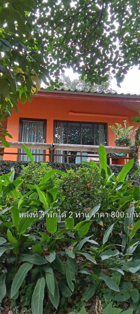 Monkeaw Climber's House, Mueang Pan