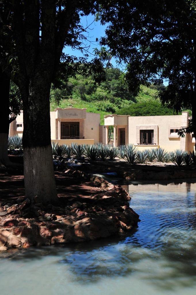 Matices Hotel de Barricas, Tequila