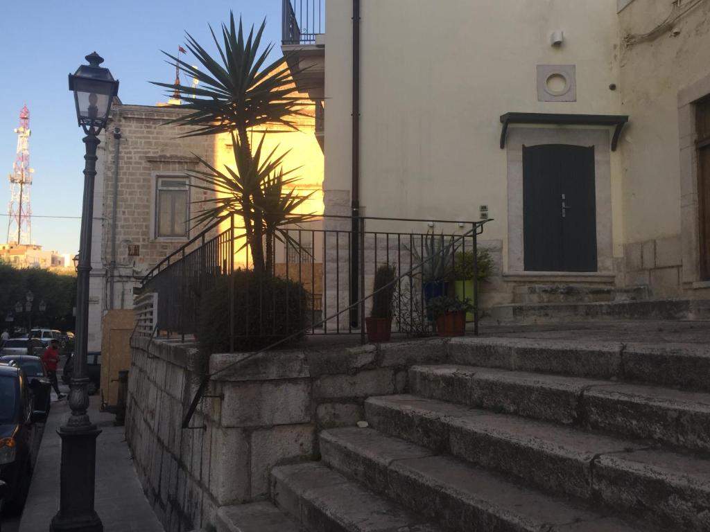 Arté Andria photo 3