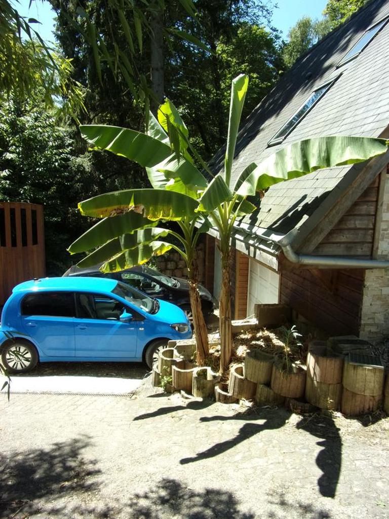 Maison Bois "Alaska" photo 4