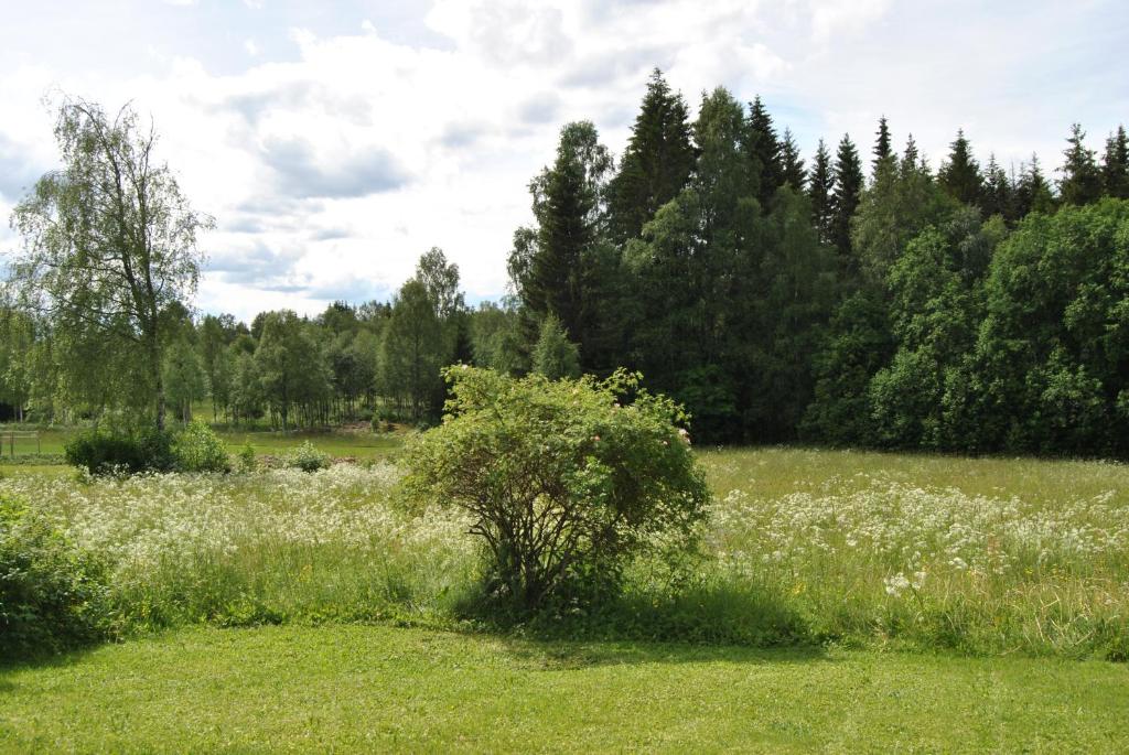 Orsastuguthyrning-Oljonsbyn photo 1