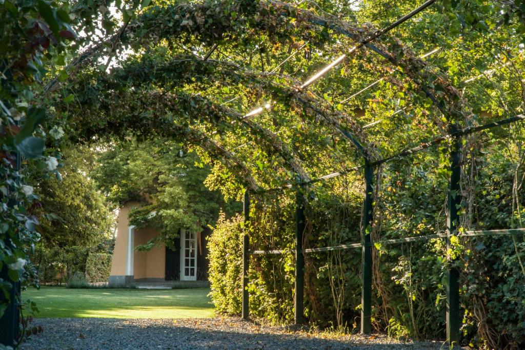Tenuta "La Meirana" photo 4