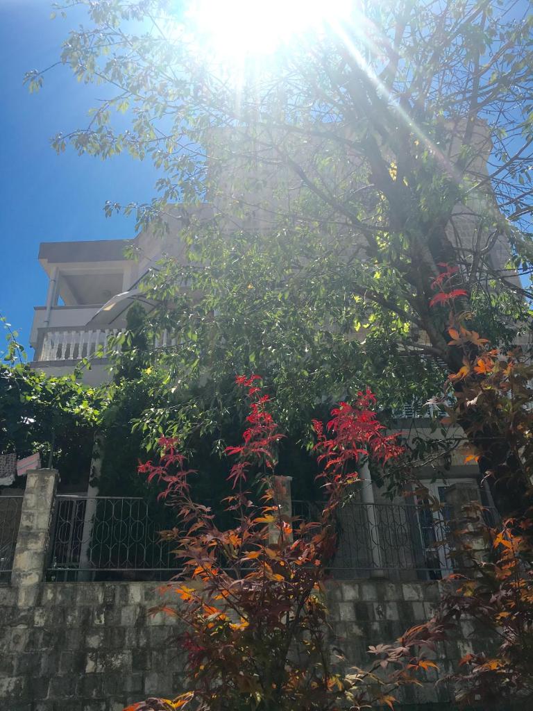 Apartments Popović