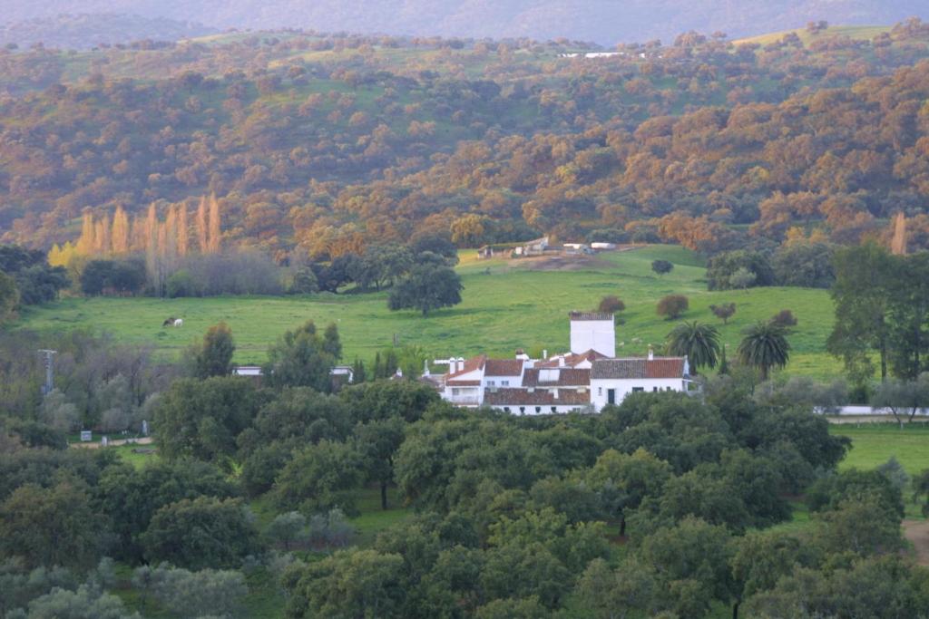 Las Navezuelas photo 3