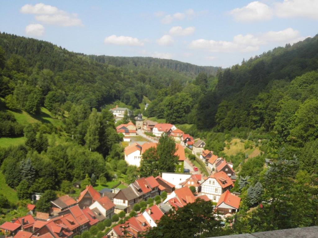 Ferienwohnungen im Harz photo 3