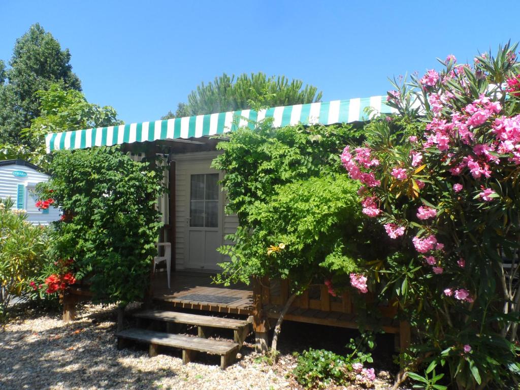 Camping Cap Soleil photo 1