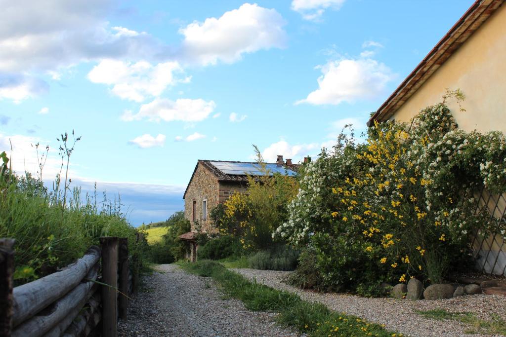 Il Cielo Bio - Il più piccolo B&B del Chianti photo 4