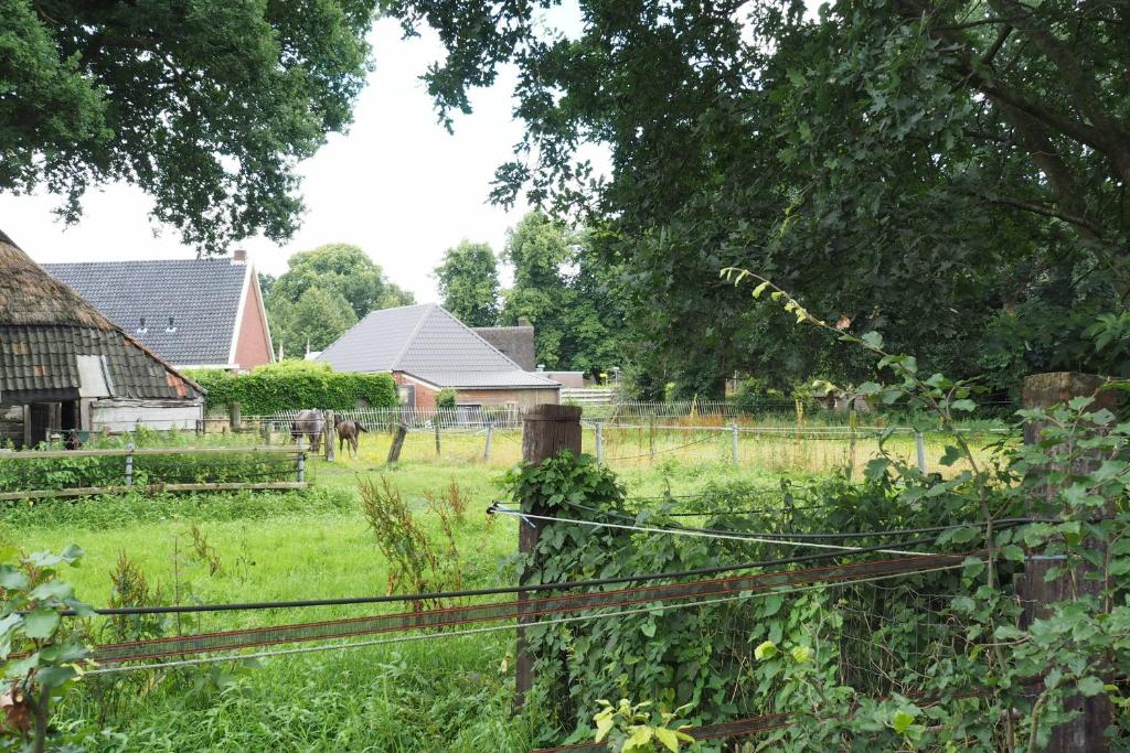 Het Centrum photo 3