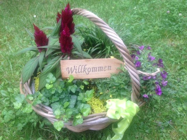 Ferienhaus Braunfels photo 4