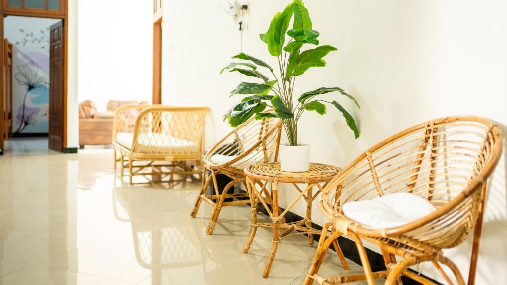 Ijen Vibe's Inn