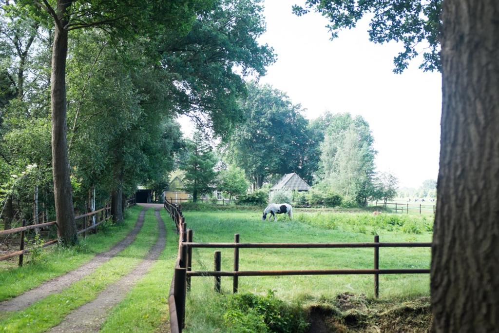 Gastenverblijf Het Muzehuis photo 3
