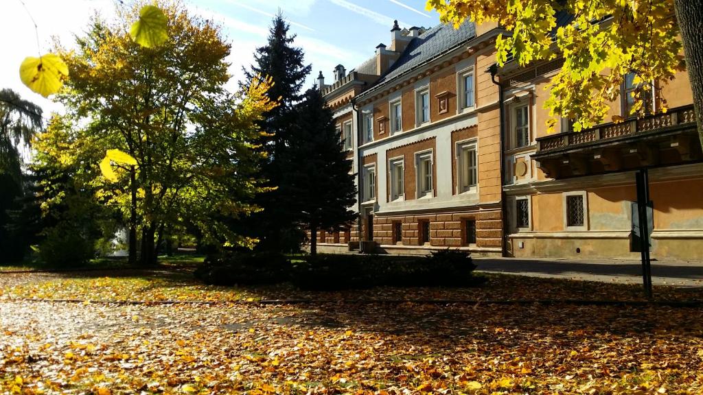 Zámek Světlá nad Sázavou photo 3