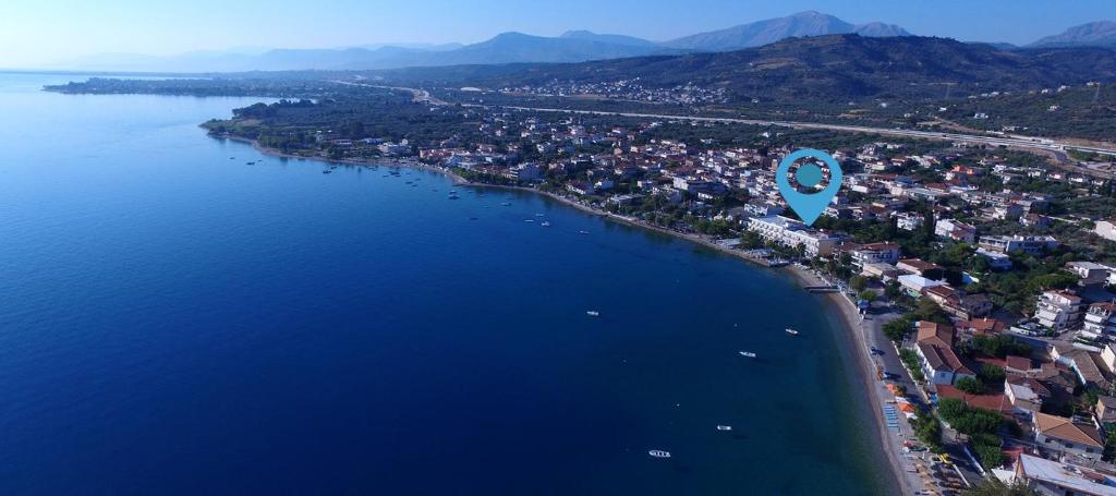 Plaz Hotel photo 1