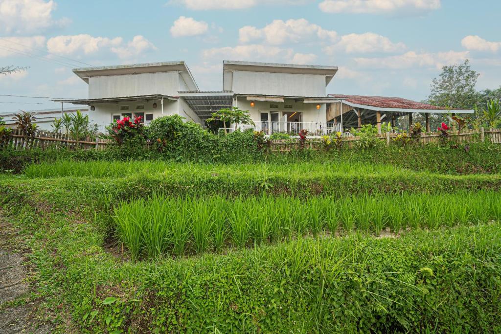 Santya Loka Lodge & Twin Waterfall Room Type - Double Room
