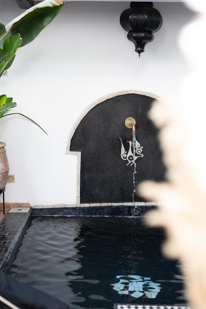 Riad Ajmal - Tap to explore photos