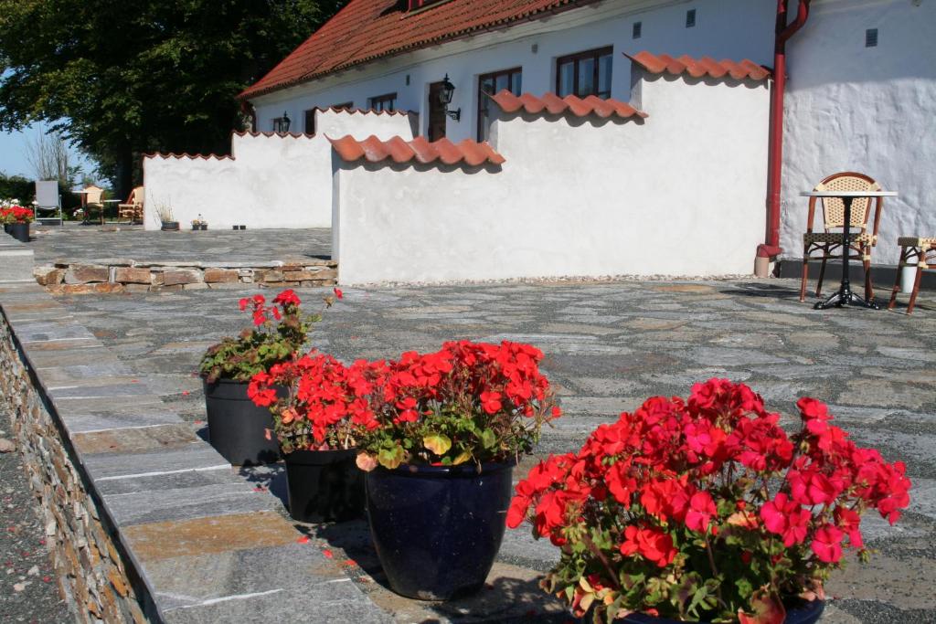 Hoby Gård photo 3