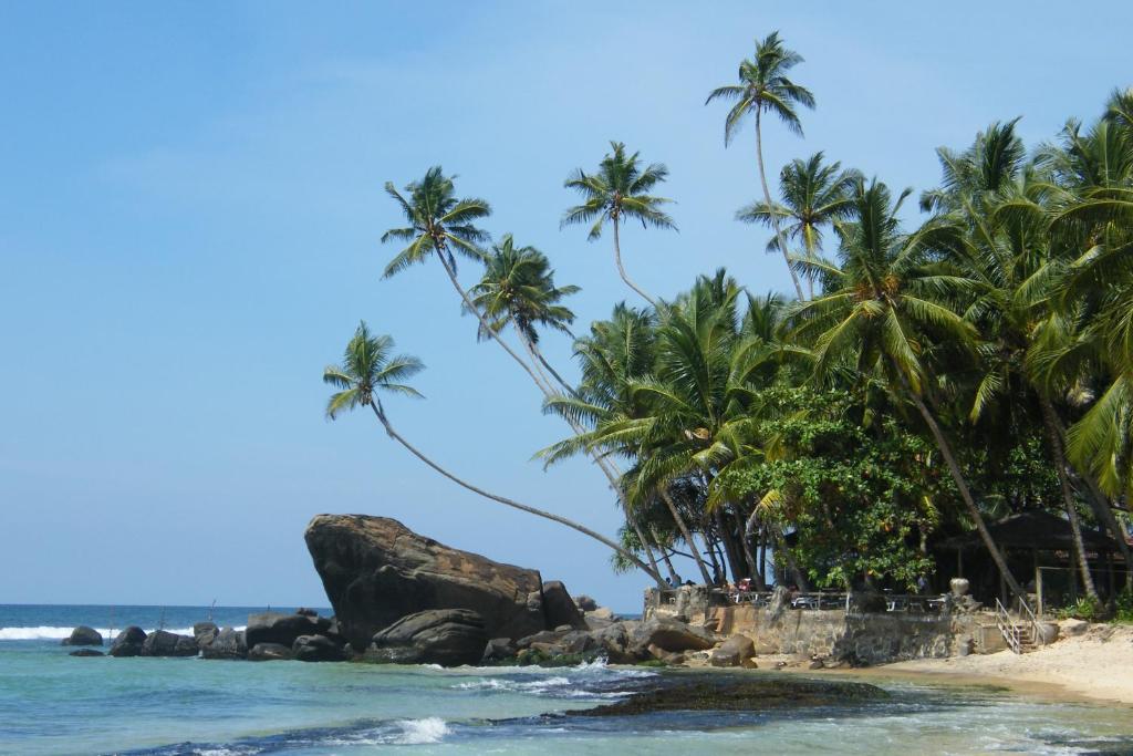 Двухместный (Двухместный номер с 1 кроватью, вид на море), Sri Gemunu Beach Resort