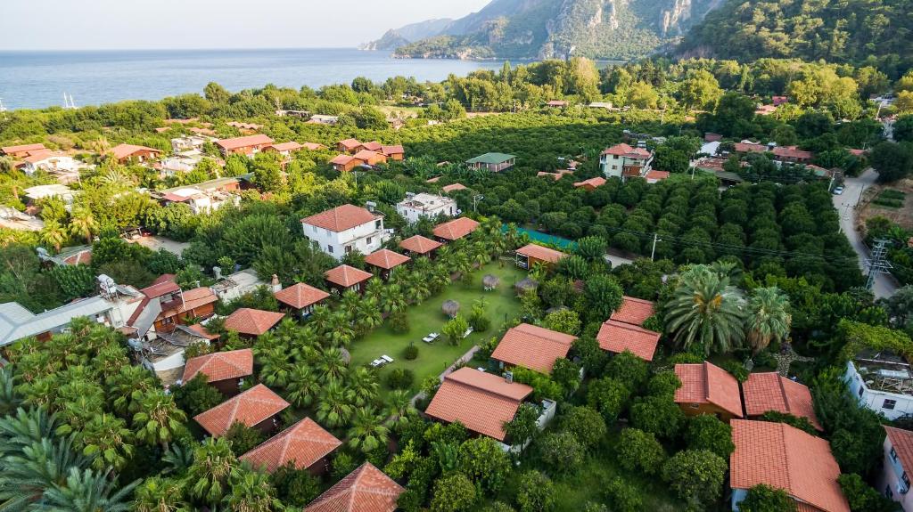 Villa Lukka photo 3
