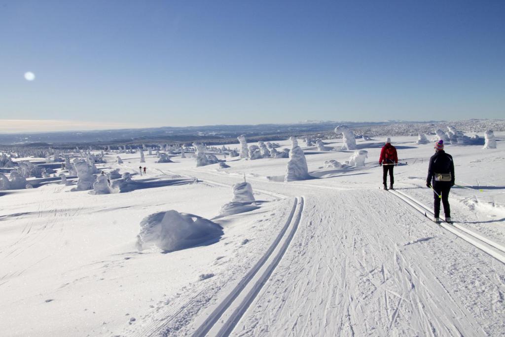Sjusjøen Hytteutleie photo 1