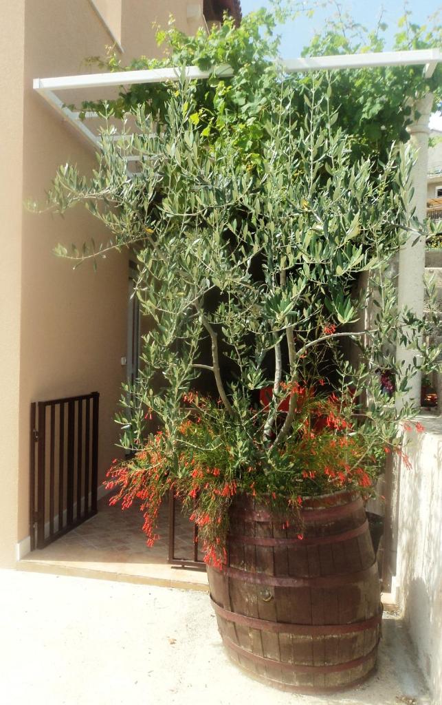 Apartments Karoma photo 1