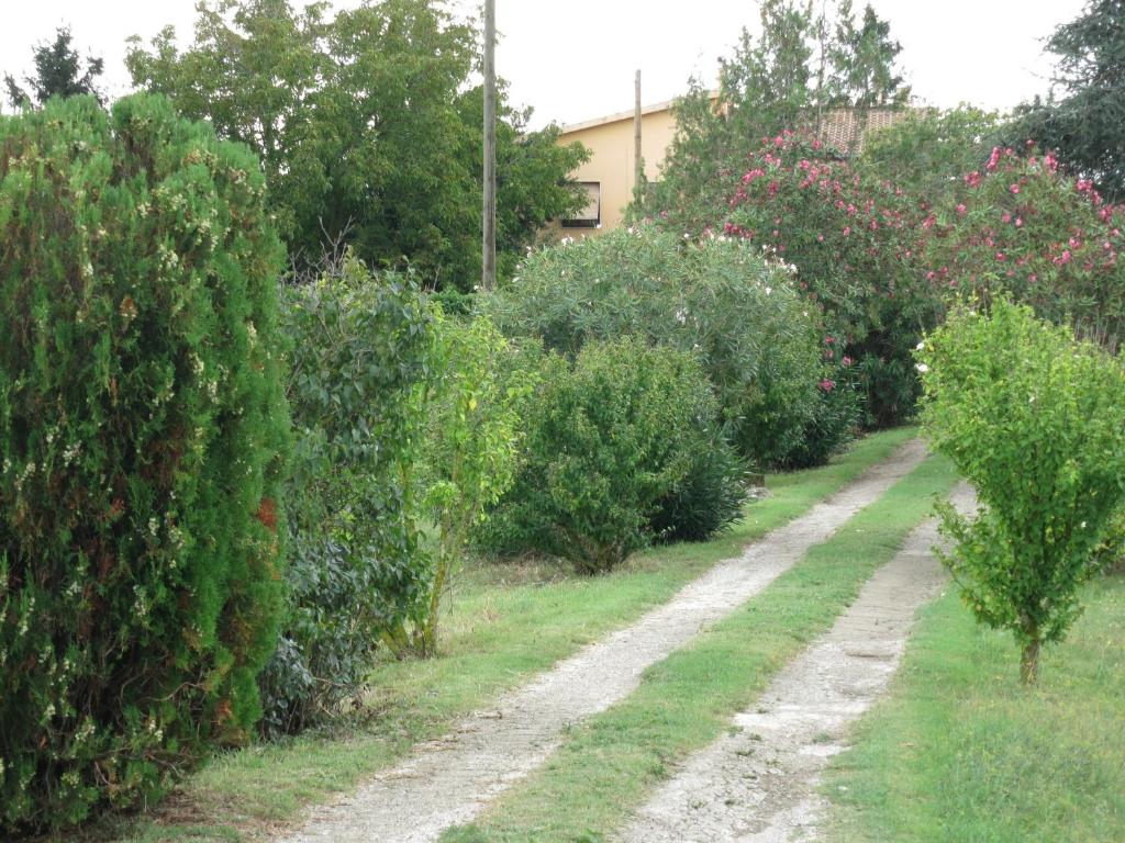 AL MANDORLO Casa Vacanze