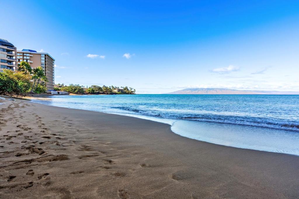 Remodeled unit ocean view - sk336 - Sullivan Properties - Tap to explore photos