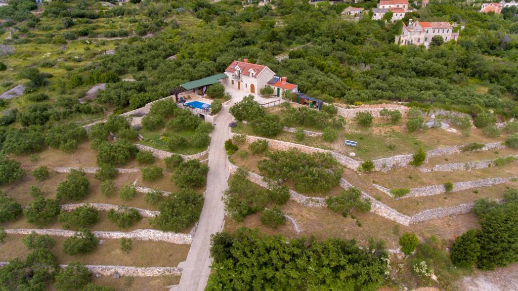 Villa Oliva photo 3