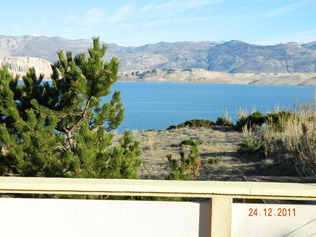 Apartmani Vesna photo 3