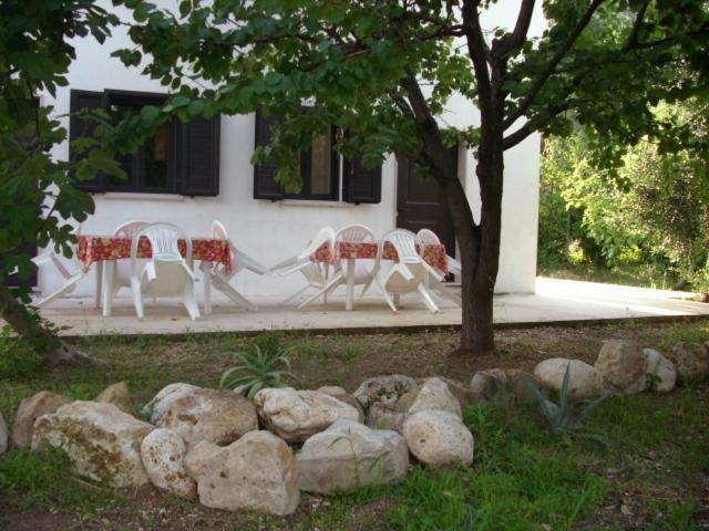 Dal Cavallaro photo 2