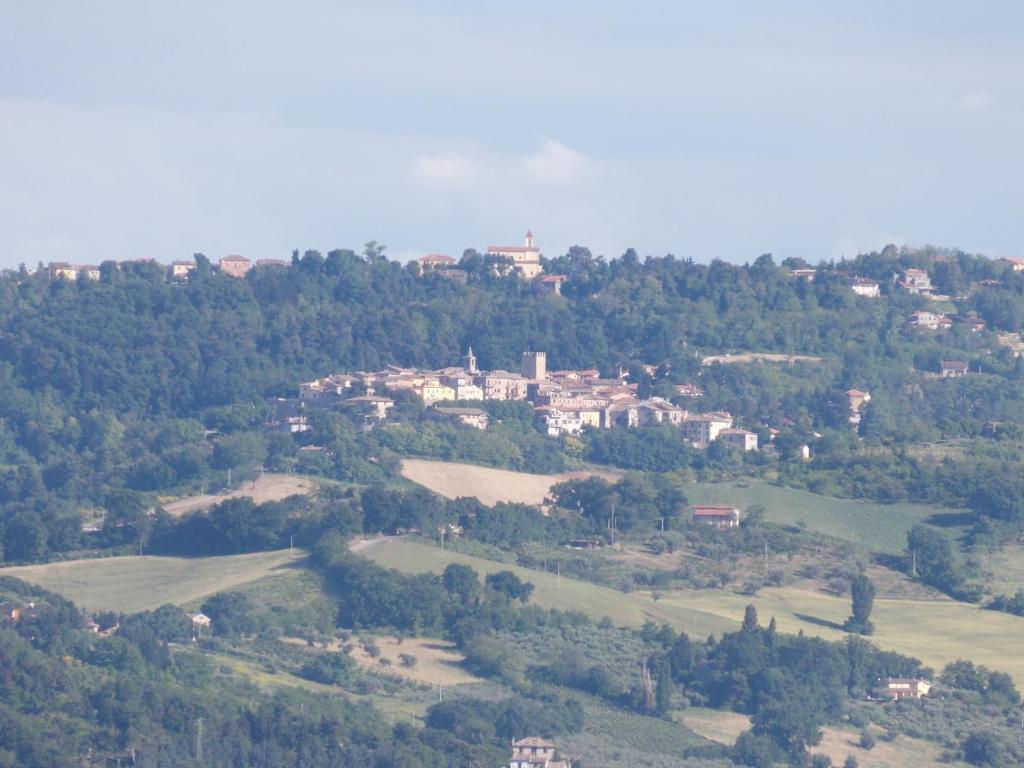 B&B La Torretta photo 4
