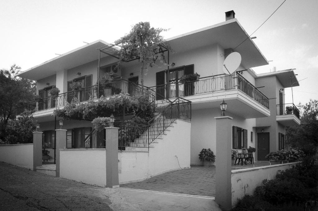 Nefeli photo 4