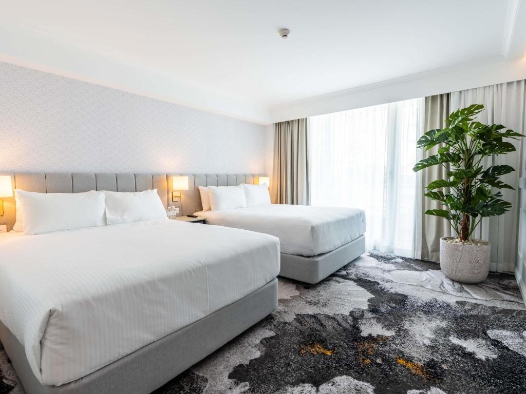 Novotel Sydney Brighton Beach Room Type - Superior Family Connecting Room