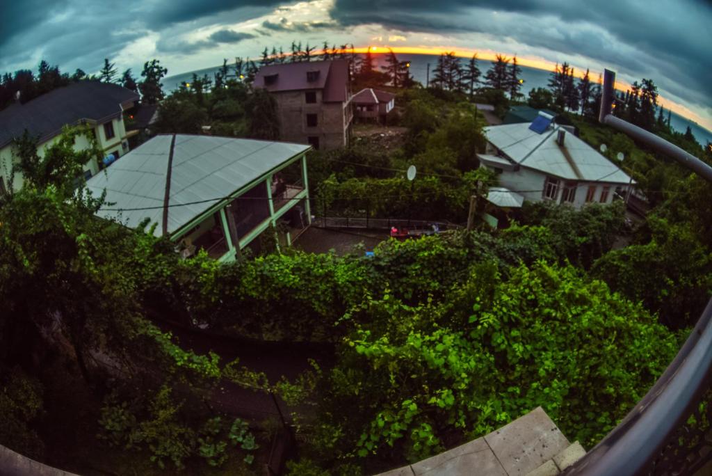 Batumi Homestay at Tamar Mephe Avenue photo 1