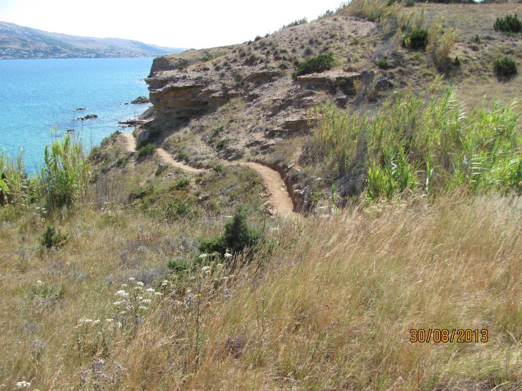 Apartmani Vesna photo 4