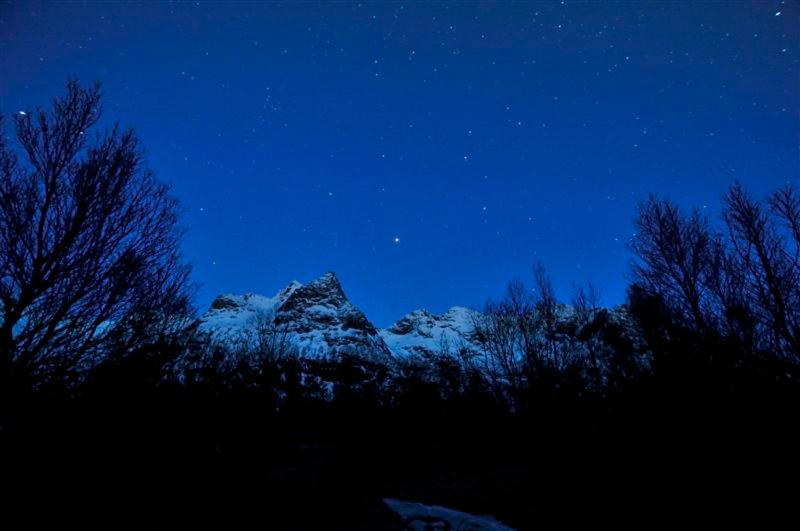 Holiday Home Lofoten photo 4